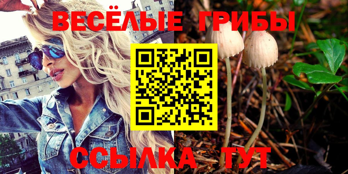 Псилоцибиновые грибы MAGIC MUSHROOMS Борисоглебск